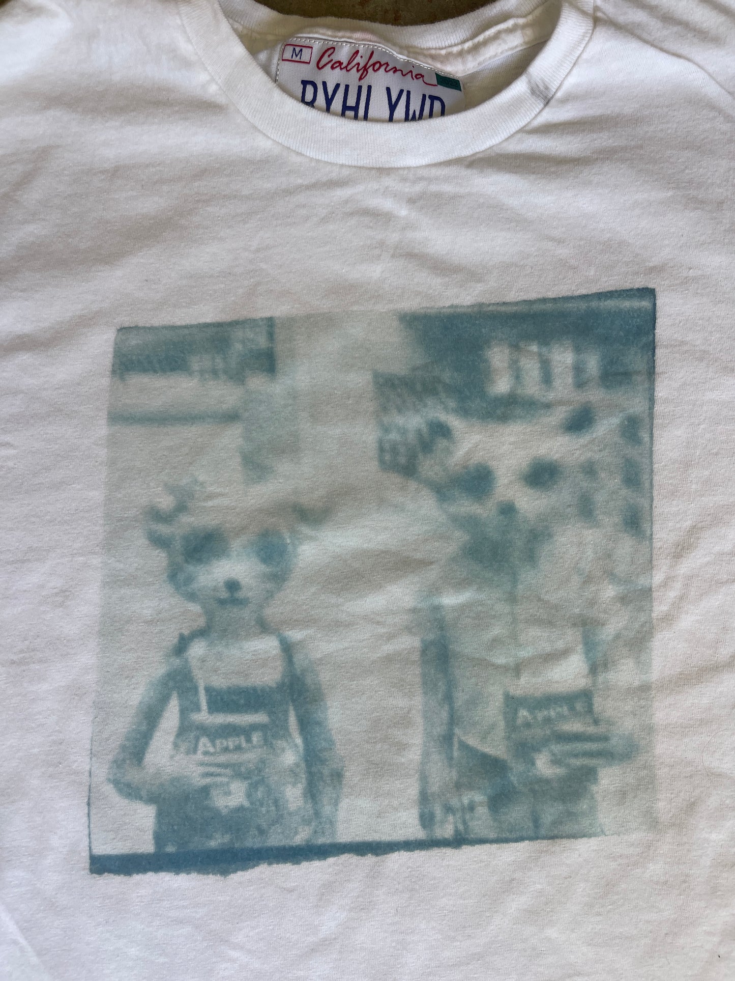 Fantastic Mr Fox Misprints
